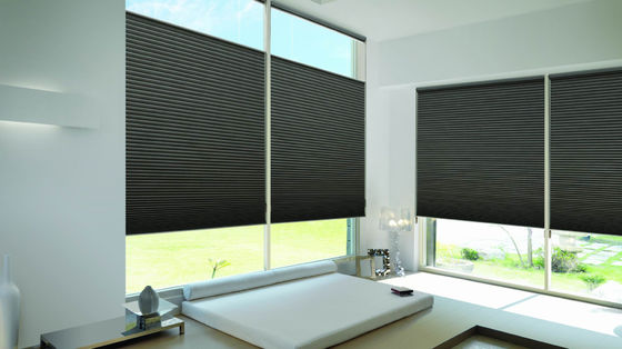 日光部屋の絶縁材を影で覆う日曜日の非打つ埋め込まれた電気蜜蜂の巣のカーテン