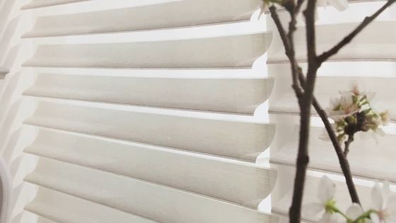 陰の窓の装飾のためにモーターを備えられる夢の停電のShangriのLaのカーテンの電気