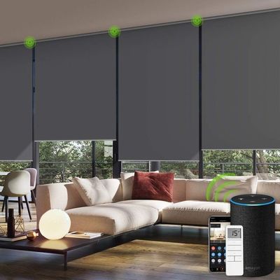 自動モーターを備えられたカーテンのブラインド、停電の日よけのローラーの陰