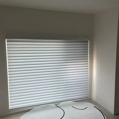 居間のためにローラーのシマウマの盲目のカーテンの白い灰色